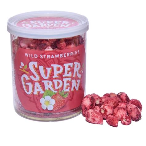 Freeze-dried wild strawberries - BerryShop