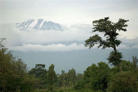 Mount Kilimanjaro Snow melting on summit Tanzania Africa