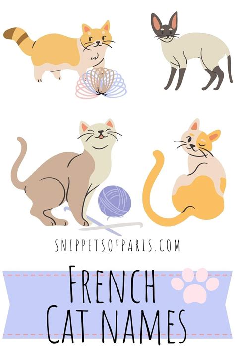 213 French Cat Names: Cute Kitten names with meanings