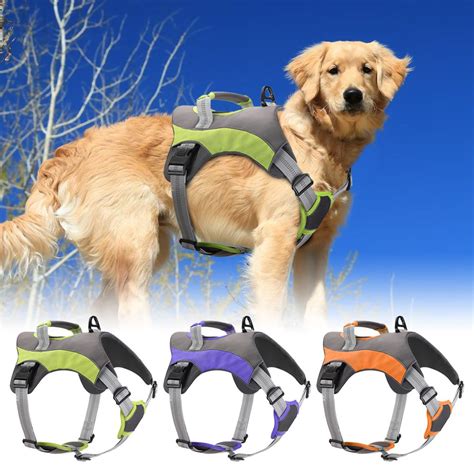 Escape Proof Dog Harness | Pet Products Supplier - Brilliant