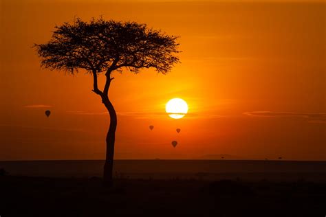 Sunrise in Maasai Mara National Reserve, Kenya