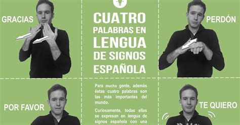 Infografía: cuatro palabras en lengua de signos española - Excepcionales