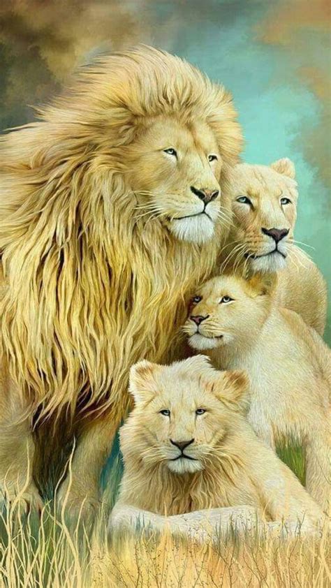 Lion Family Wallpapers - Wallpaper Cave