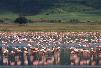 Ngorongoro Crater | Reference map | Tanzania | Expert Africa