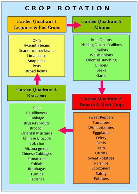 Printable Crop Rotation Chart