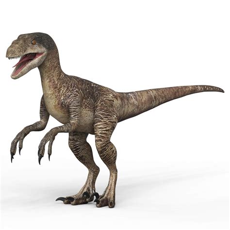 Velociraptor Dinosaur - 3D Model by cgsea