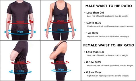 Bmi Calculator Male Morbid Obesity - Aljism Blog