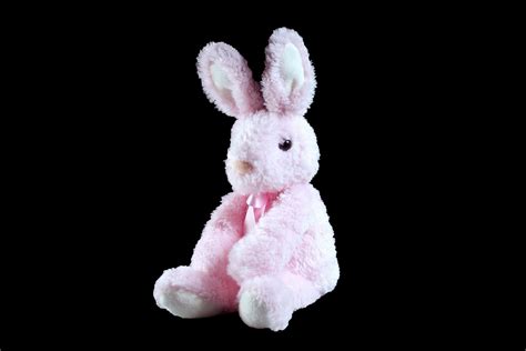 Pink Bunny Stuffed Animal, Douglas The Cuddle Toy, Plush Animal, Baby Girl Gift, 17 Inch, Easter ...