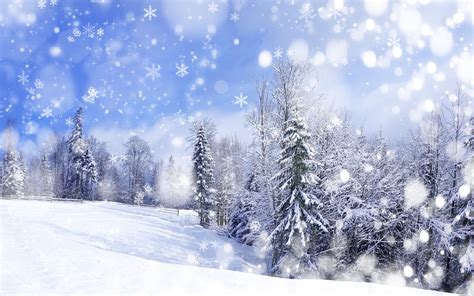 Falling Snow Animated Wallpaper (57+ images)