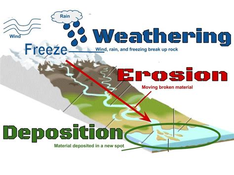 Weathering is any process that breaks down rocks and creates sediments. There are two forc ...