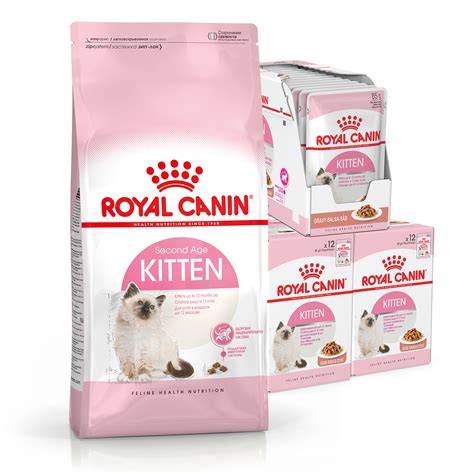 Royal Canin Bundle Kitten Gravy Wet And Dry Cat Food - $89.95