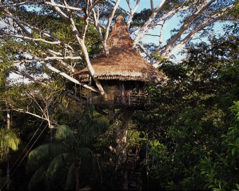 Treehouse Eight | Amazon Rainforest Hotels | Treehouse Lodge