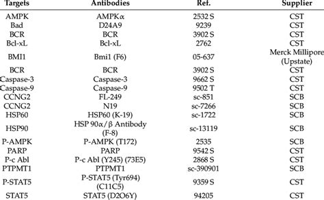 Antibodies used in Western blot experiments. | Download Scientific Diagram