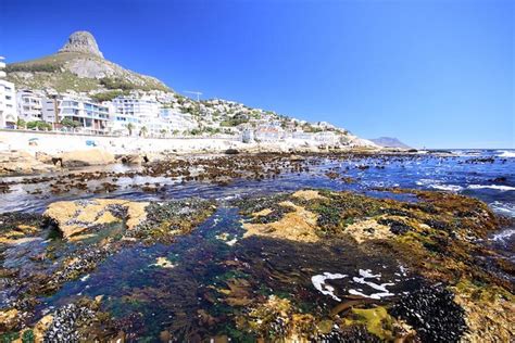 Sea Point, Cape Town, South Africa | Sea point, Africa travel, South africa