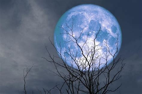 Super Blue Moon August 2024 Meaning - Diana Filippa