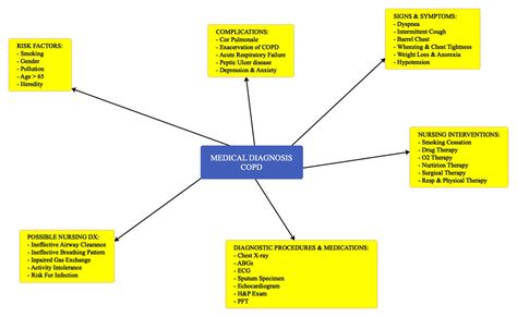 Nursing Care Map Examples