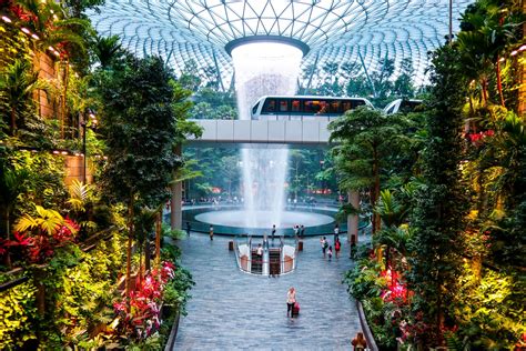 Jewel Changi Airport Reopens Canopy Park With Special Bundle