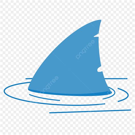 Shark Finning Clipart PNG Images, Crystal Clear Shark Fin Clipart, Shark Fin Clipart, Bright ...