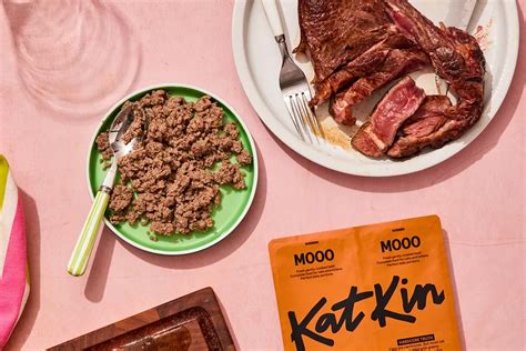 A guide to high protein cat food | KatKin