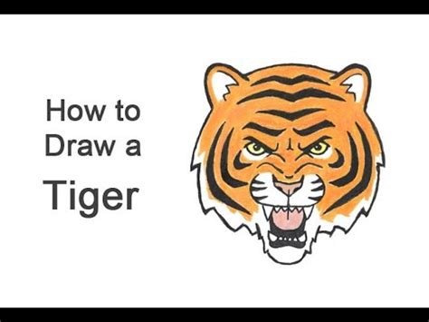 Discover 157+ tiger face drawing easy best - seven.edu.vn