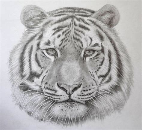 Cool Black And White Drawings at PaintingValley.com | Explore collection of Cool Black And White ...