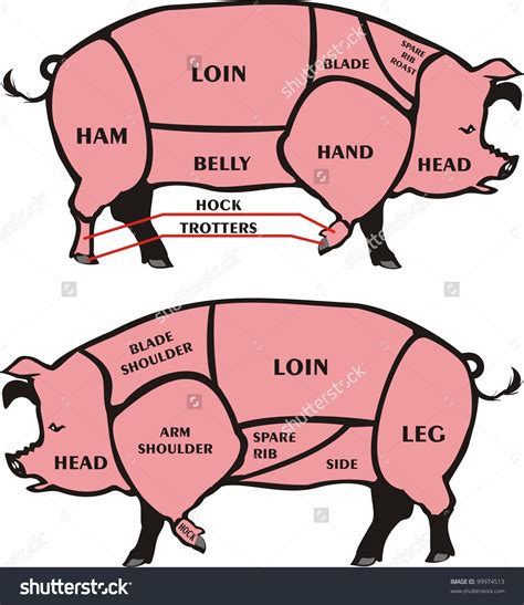 Pig Cuts Of Meat Diagram General Wiring Diagram | Images and Photos finder