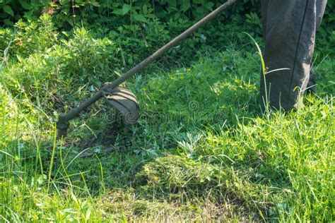 The Gardener Cutting Grass by Lawn Mower Stock Image - Image of summer, gardening: 120182639