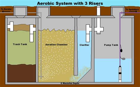 Waste Not Septic