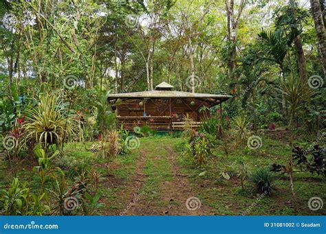 Tropical House In The Jungle Of Costa Rica Stock Photography - Image: 31081002