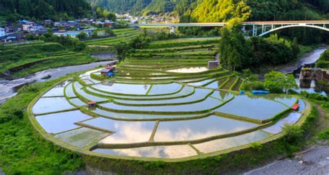 Japan's Terraced Rice Fields Will Take Your Breath Away | tsunagu Japan