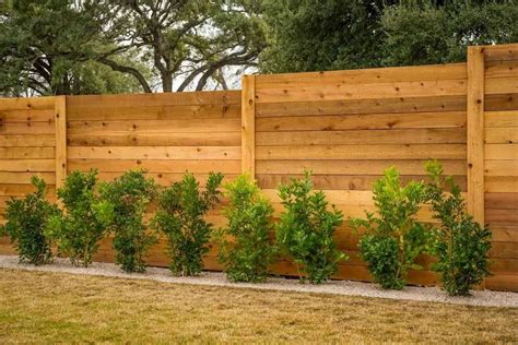 40 DIY Backyard Privacy Fence Design Ideas on A Budget