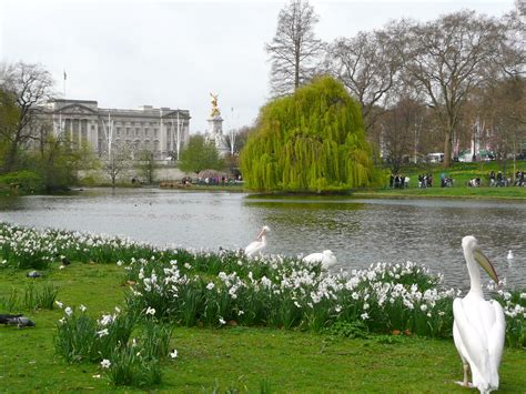 Buckingham Palace Gardens Tour – Beautiful Flower Arrangements and Flower Gardens