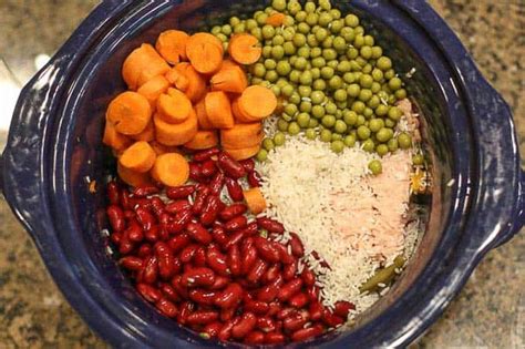 Easy Homemade Dog Food Crockpot Recipe with Ground Chicken