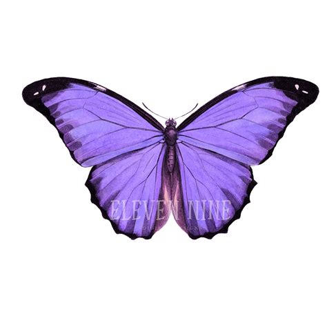 Butterfly Clipart, Purple Butterfly Clipart, Butterfly Digital Download, Printable Vintage ...