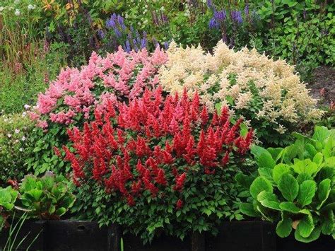 Shade garden design ideas – how to choose the right plants?