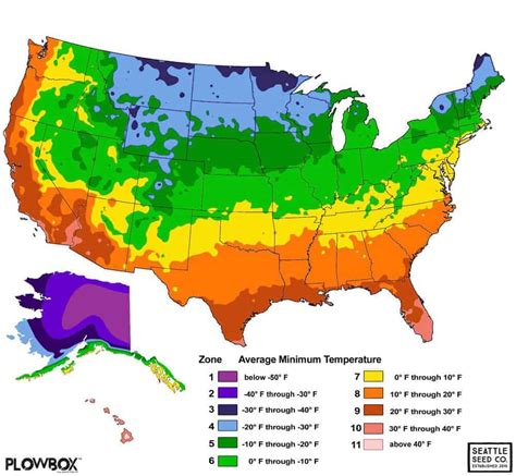 Hardiness Zones and Succulents | Sublime Succulents