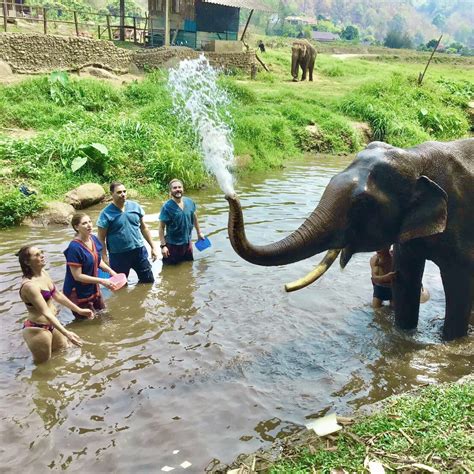 Half-Day Elephant Care - Doi Lom Elephant Rescue Sanctuary