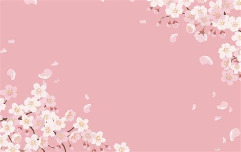 Cherry Blossom Background Images - Free Download on Freepik