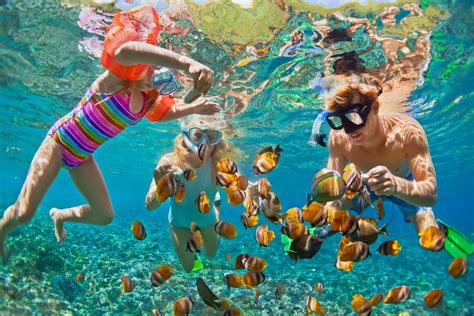 3 Places for Fort Lauderdale Snorkeling | Things to do in Florida