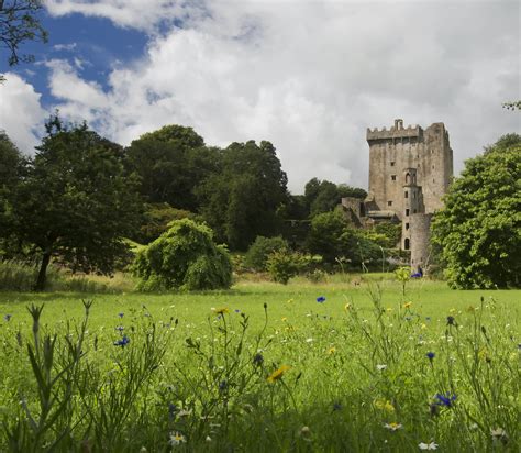 Discover County Cork's Blarney Castle – home of the famous Blarney Stone | Ireland.com