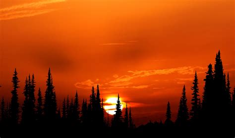 Relaxing Orange Sunset Evening 4k Wallpaper,HD Nature Wallpapers,4k Wallpapers,Images ...