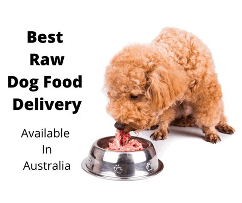 The 6 Best Raw Dog Food Delivery Subscriptions in Australia - gentledogtrainers.com.au