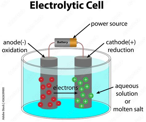 Electrolytic Cell Diagram Stock Vector | Adobe Stock