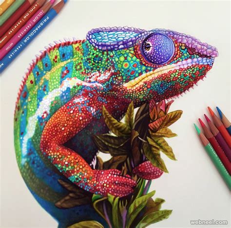 Chameleon Color Pencil Drawing By Morgan Davidson 2