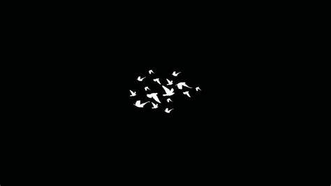 Birds Flying Minimalist Dark, birds, dark, minimalism, black, artist, HD wallpaper | Peakpx