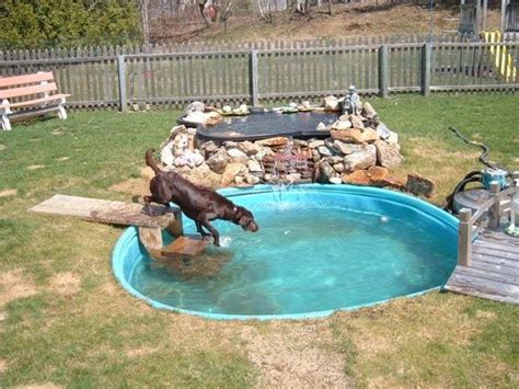 13 Dog Swimming Pool Ideas to Beat the Heat of Summer - Love Home Designs