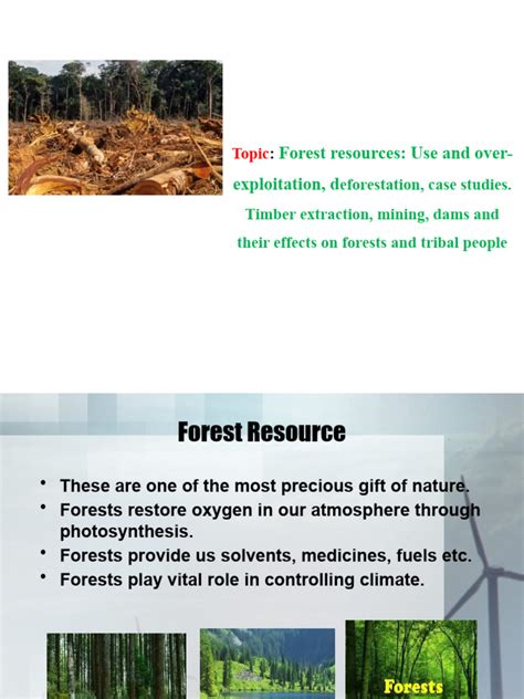 Forest Resources | PDF