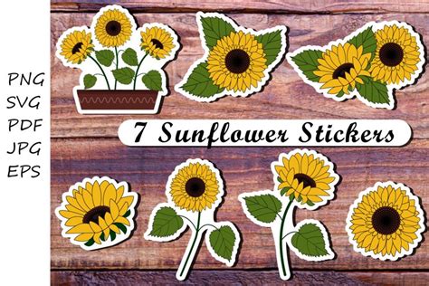 Sunflowers stickers. Sunflower png. Sunflower svg (985972)