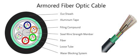 Fiber Optic Cable Types: What Are the Most Popular Types?