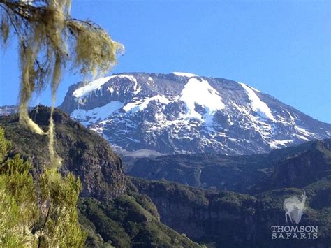 kilimanjaro-snow-summit - Kilimanjaro